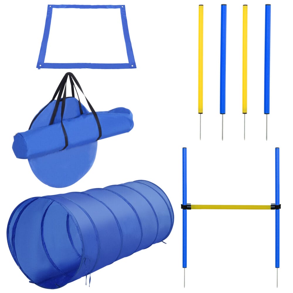 Blaues Hunde Agility Set mit Tunnel und Hürden, ideal für Spass und Training im Garten, fördert Fitness und Koordination.