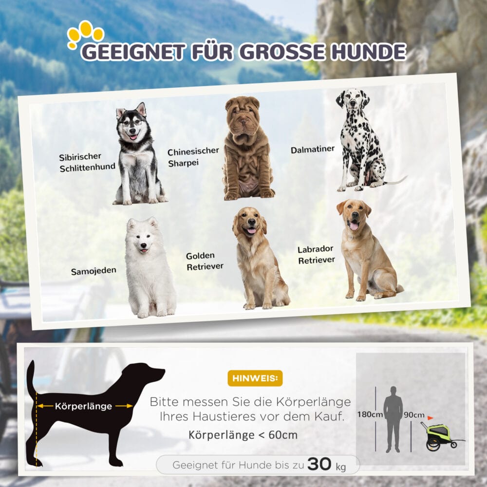 Grüner 2-in-1 Hundeanhänger, der auch als Buggy genutzt werden kann, bis 30kg belastbar, perfekt für grosse Hunde.