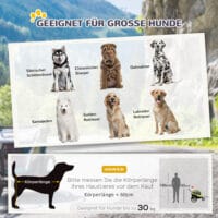 Grüner 2-in-1 Hundeanhänger, der auch als Buggy genutzt werden kann, bis 30kg belastbar, perfekt für grosse Hunde.