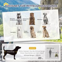 Gelber Hundeanhänger mit Sicherheitsleine und Netzfenstern, bis 20kg belastbar, bietet sichere und luftige Transportmöglichkeiten für kleine bis mittelgrosse Hunde.
