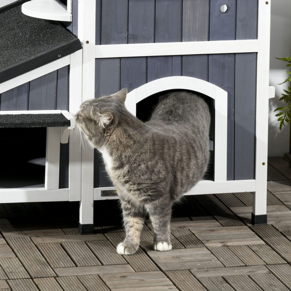 Graues wetterfestes Katzenhaus aus Tannenholz, bietet Katzen Schutz im Freien.