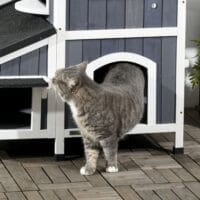 Graues wetterfestes Katzenhaus aus Tannenholz, bietet Katzen Schutz im Freien.