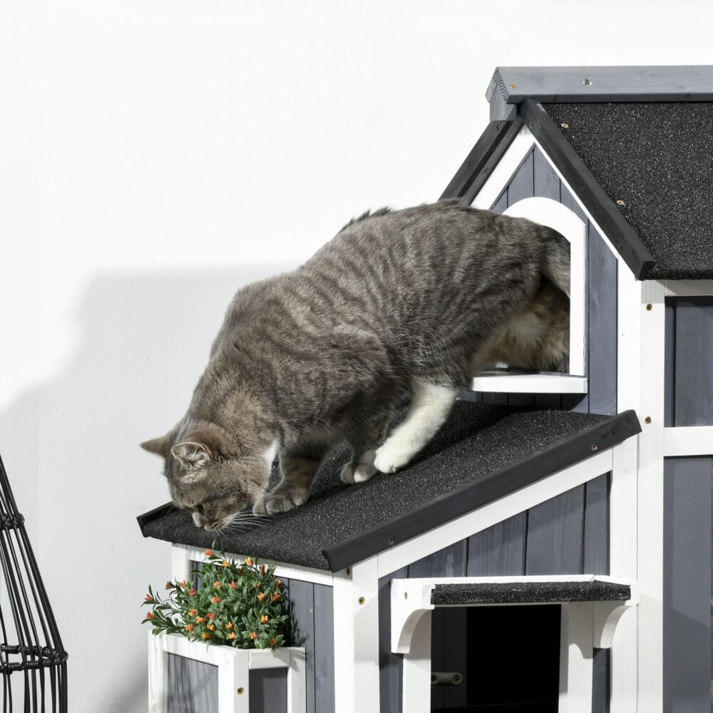 Graues wetterfestes Katzenhaus aus Tannenholz, bietet Katzen Schutz im Freien.