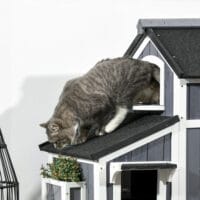 Graues wetterfestes Katzenhaus aus Tannenholz, bietet Katzen Schutz im Freien.