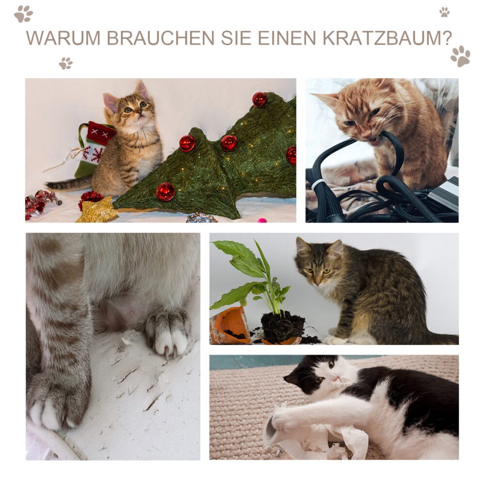 Graue Katzenhöhle mit integriertem Kratzbrett, bietet Rückzugsort und Möglichkeit zum Krallenwetzen.