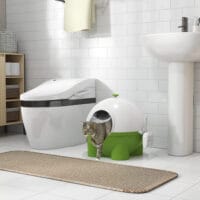 Grün-weisses Katzenklo mit Deckel, ideal für den Innenbereich, sorgt für hygienische Sauberkeit.