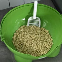 Grün-weisses Katzenklo mit Deckel, ideal für den Innenbereich, sorgt für hygienische Sauberkeit.