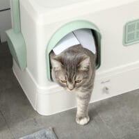 Weiss-grünes Katzenklo mit Schaufel, Schublade und Deodorant, für eine umfassende Hygiene und einfache Wartung.