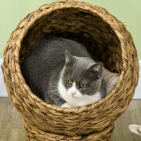 Brauner Katzenkorb mit Kissen, Masse 42x33x52cm, ein gemütlicher und praktischer Schlafplatz für Katzen.