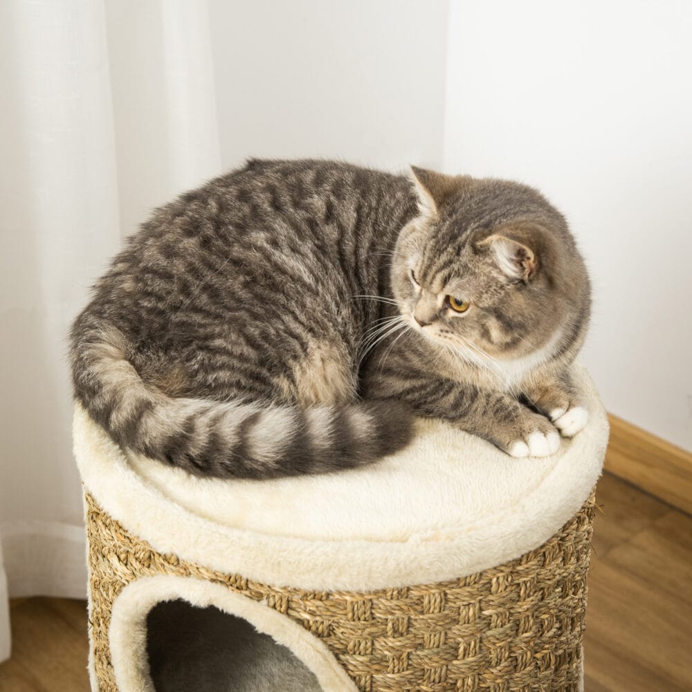 Kratzbaum für Katzen mit 3 Ebenen aus Sisal und Plüsch, bietet Abwechslung zum Kratzen, Klettern und Ruhen.