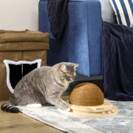 Naturfarbenes 2-in-1 Katzenspielzeug mit Kratzbrett und Kugelbahn.