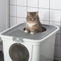 Grau-weisse Katzentoilette mit Deckel, ideal für kleine Katzen, bietet Hygiene und Privatsphäre.