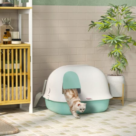 Grüne Katzentoilette mit Deckel und Sieb, für Katzen bis 3.5kg.
