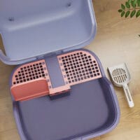 Violette Katzentoilette mit Deckel und Sieb, für Katzen bis 3.5kg.