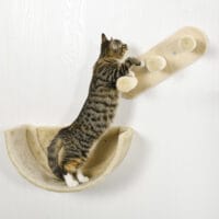 Braune 4-teilige Katzenkletterwand mit Hängematte, belastbar bis 5kg.