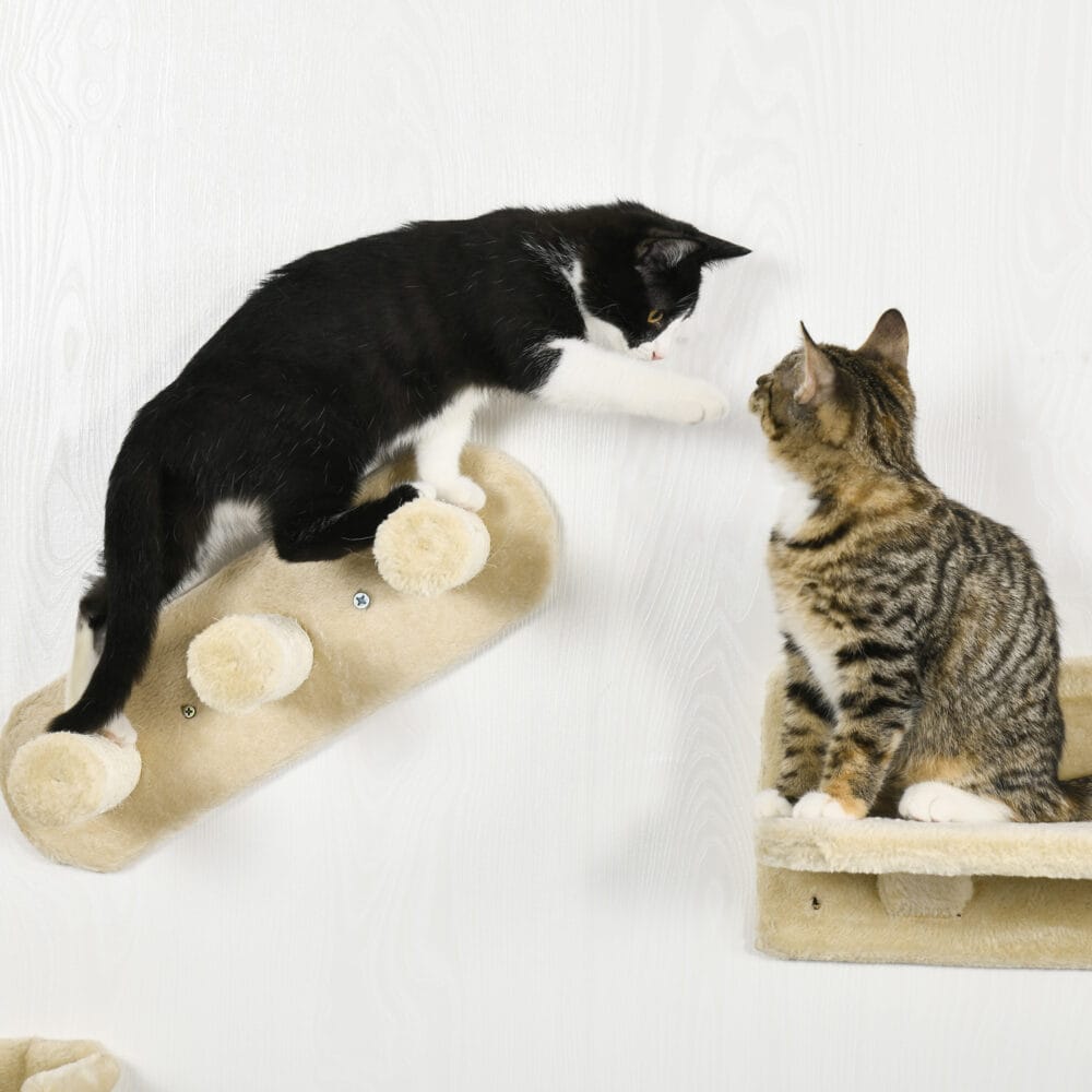 Braune 4-teilige Katzenkletterwand mit Hängematte, belastbar bis 5kg.
