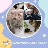Braun-beiger Katzentunnel aus Sisal mit integriertem Spielball.