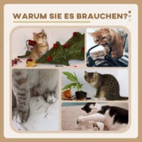 Beiger Kratzbaum mit zwei Liegeflächen, Korb und Spielball, 124cm hoch, bietet viel Abwechslung und Komfort.