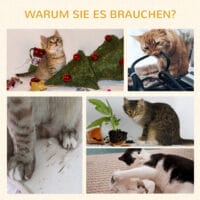 Hellgrauer Kratzbaum mit gemütlicher Höhle und Hängematte, ideal für kleine Katzen, 115cm hoch.