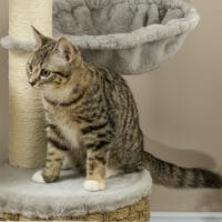 Hellgrauer Kratzbaum mit gemütlicher Höhle und Hängematte, ideal für kleine Katzen, 115cm hoch.