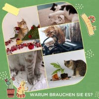 Grüner Kratzbaum im Kaktus-Design mit Spielball, 111cm hoch, ein origineller Blickfang und ideal zum Krallenwetzen.