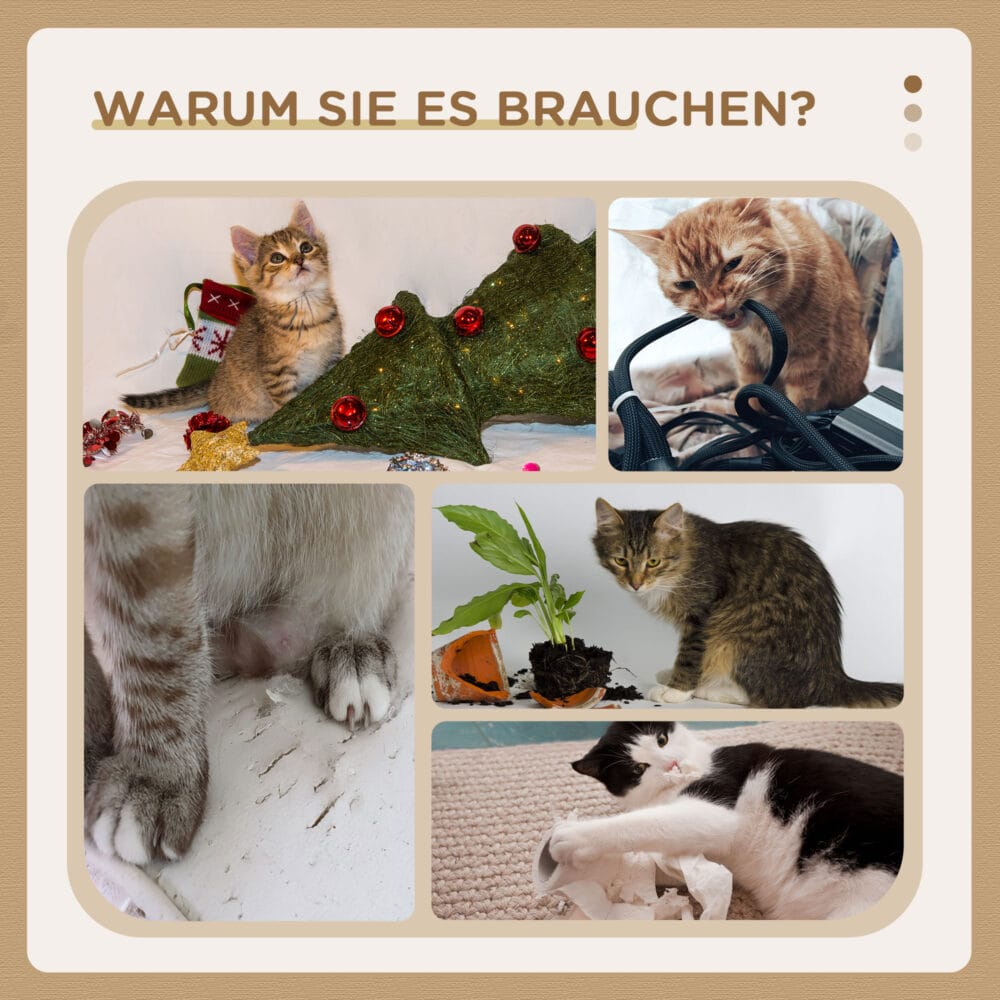 Beiger Kratzbaum mit Katzenhaus aus Rattan, 150cm hoch, eine stilvolle und robuste Kletter- und Kratzgelegenheit.