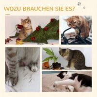 Cremeweisser Kratzbaum für kleine Katzen mit integriertem Spielball, 49cm hoch, ideal für erste Klettererfahrungen.