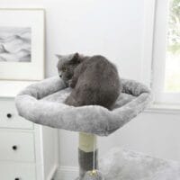 Mehrstufige Katzenwohnung Kratzbaum, 110cm Höhe, Plüsch Hellgrau