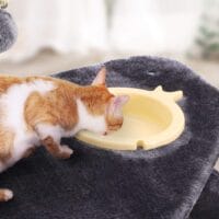 Spielturm Kratzbaum stabil für große Katzen, 164cm, Plüsch Rauchgrau