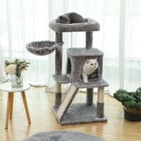 Stabiler Kratzbaum für große Katzen, Holz, hellgrau