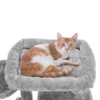 Stabiler Kratzbaum für große Katzen, Holz, hellgrau