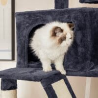 XXL Katzenwohnung Kratzbaum mehrstufig, 206cm, Plüsch Rauchgrau
