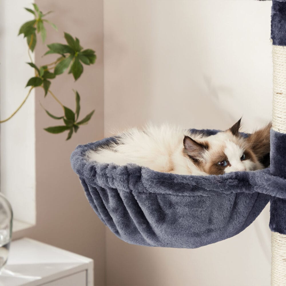 XXL Katzenwohnung Kratzbaum mehrstufig, 206cm, Plüsch Rauchgrau
