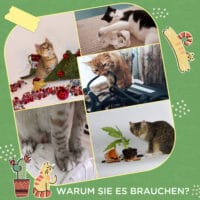 Weiss-grünes 2er-Set Kratzmatten im Kakteen-Design aus Juteseil, ideal zum Schutz von Möbeln und zur Krallenpflege.