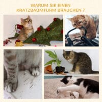 Graue stabile Kratzsäulen für Katzen mit integrierter Plattform, ideal zum Krallenwetzen und Klettern.