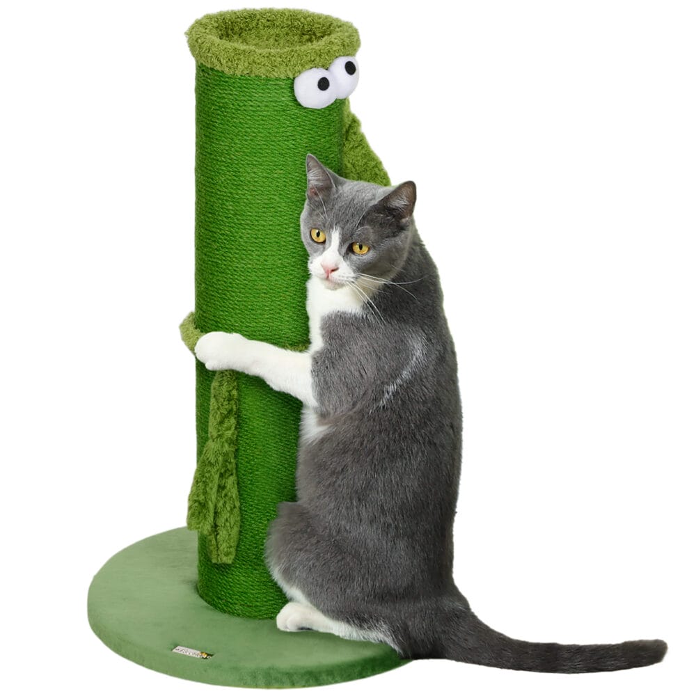 Grüner Sisal-Kratzstamm für den Innenbereich, 63cm hoch, ein kompakter und effektiver Kratzplatz.