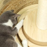 Eichenfarbener 4-in-1 Sisal-Kratzstamm mit Spielball, 69cm hoch, ein vielseitiges Spiel- und Kratzmöbel.