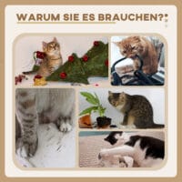 Grau-cremefarbener Sisal-Kratzstamm mit integriertem Spielball, 81cm hoch, perfekt zum Krallenwetzen und Spielen.