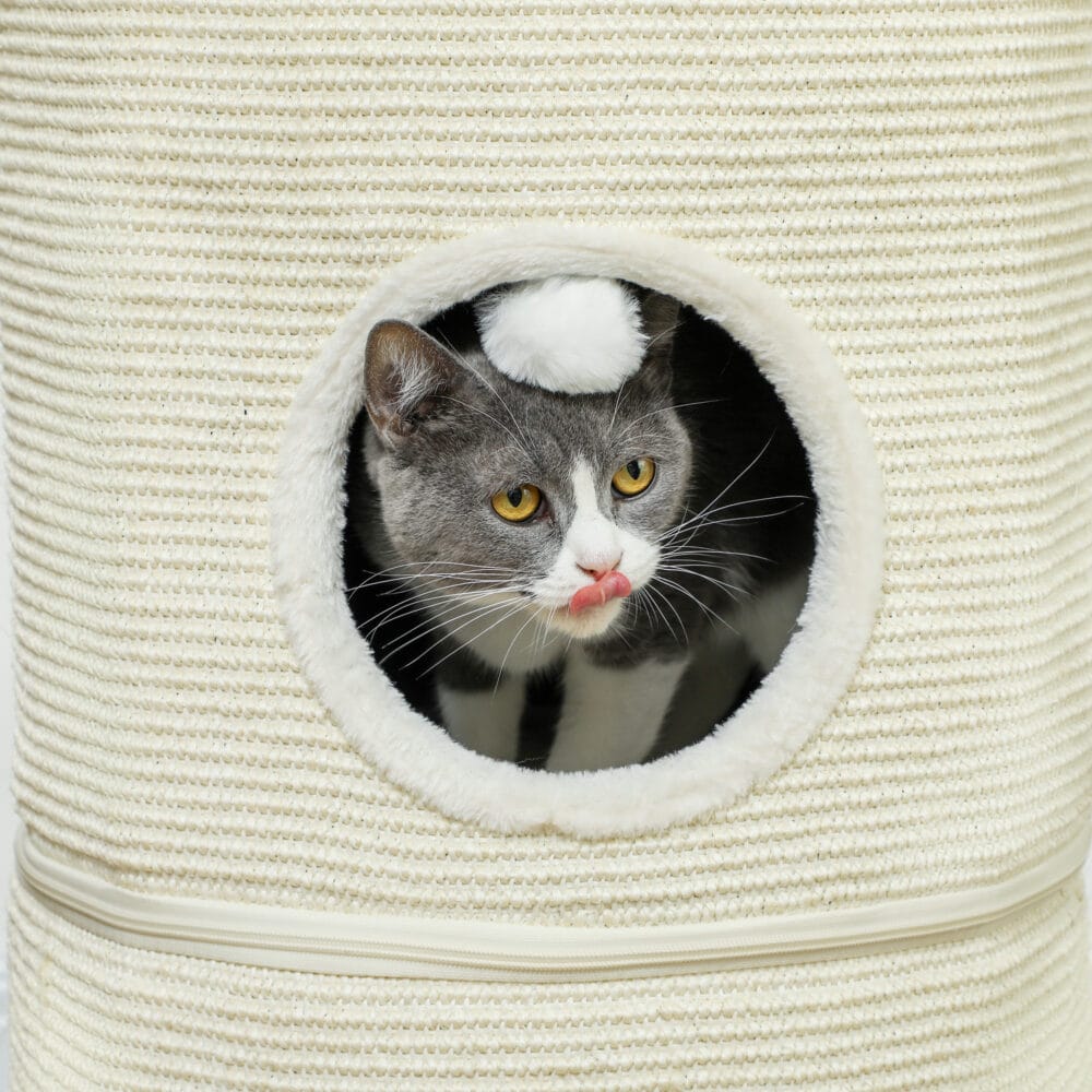 Cremeweisse Kratztonne mit zwei teilbaren Höhlen, 69cm hoch, für Katzen bis 5kg, flexibel einsetzbar und platzsparend.