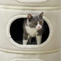 Beige-cremeweisse Kratztonne mit drei Höhlen aus Sisal, 100cm hoch, für Katzen bis 6kg, ein grosser und vielseitiger Kratz- und Schlafplatz.