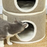 Dunkelgraue Kratztonne mit Höhle aus Sisal, 56cm hoch, für Katzen bis 5kg, bietet ausreichend Platz zum Verstecken.