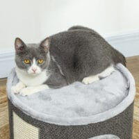 Dunkelgraue Kratztonne mit Höhle aus Sisal, 30cm hoch, für Katzen bis 5kg, ein kleiner, aber feiner Rückzugsort.