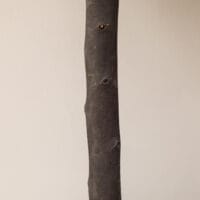 Kunstpflanze Buchsbaum im 2er-Set, 60 cm hoch, naturgetreu.