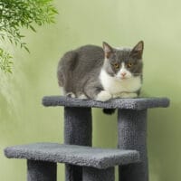 Graue Tiertreppe mit 4 Stufen, 63,5x43x60cm.
