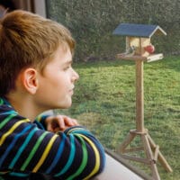 Wetterfestes und dekoratives Vogelhäuschen mit Ständer, ideal zur Vogelfütterung.